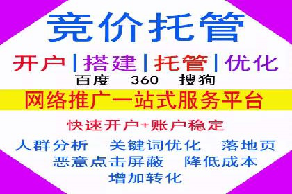 网络推广秘籍：竞价排名成功案例集锦